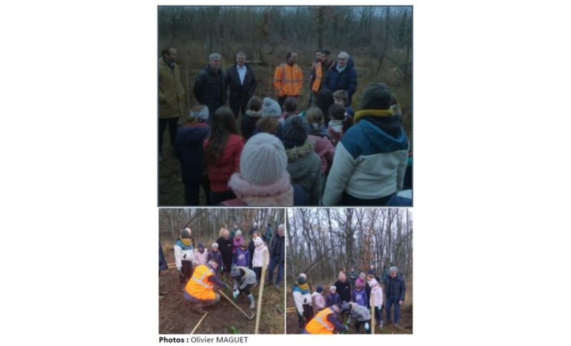 Communes forestières Yonne noue un partenariat pour reboiser des forêts communales