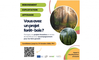 Le Pays lédonien dans le Jura lance un appel à manifestation d’intérêt sur la filière forêt-bois