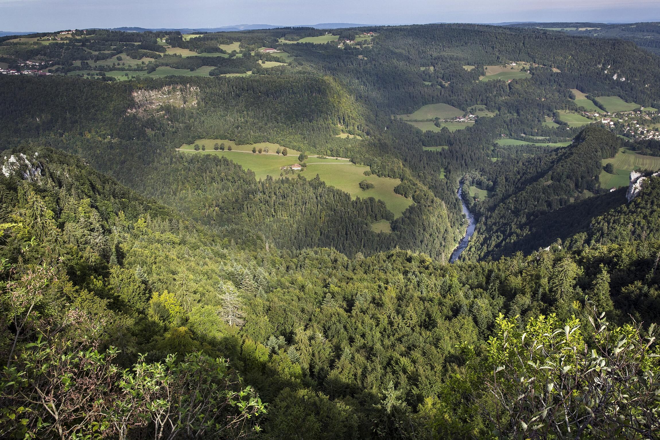 Union Régionale des Communes forestières