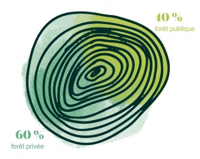 Répartition des surfaces boisées par types de propriétés, en Bourgogne-Franche-Comté