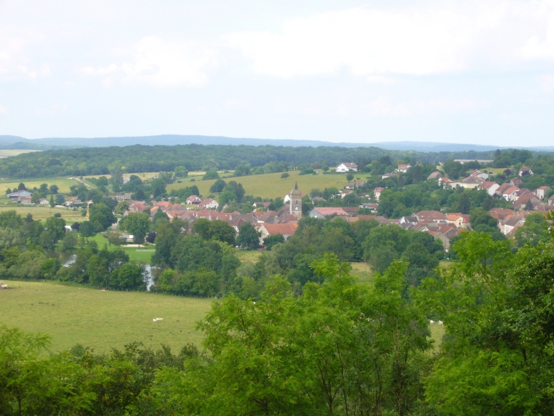 Le Contrat régional Forêt-Bois est validé
