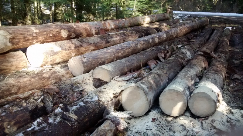 Aides à la commercialisation des bois scolytés