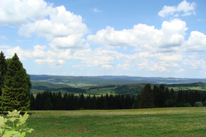 SylvoTrophée 2019 - Haut-Jura