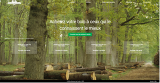 Evolution des dispositifs de ventes de bois