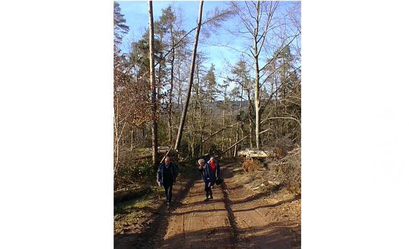 Communes forestières France lance une enquête sur les risques en forêt