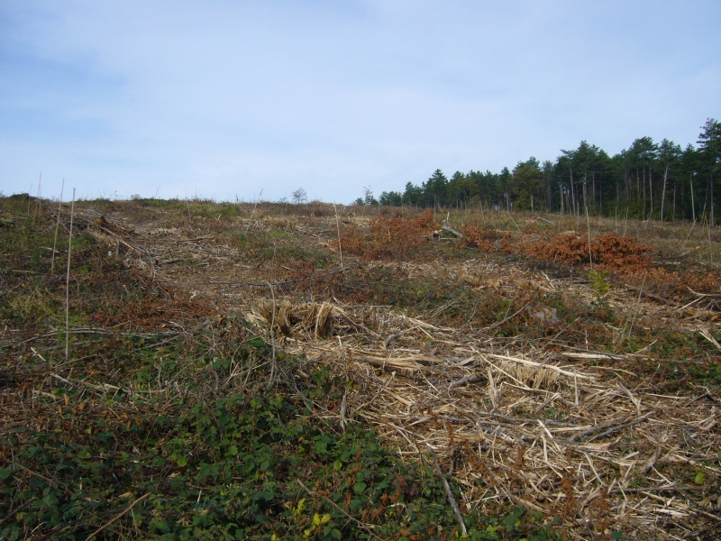 Mise en place d’un réseau de parcelles d’avenir