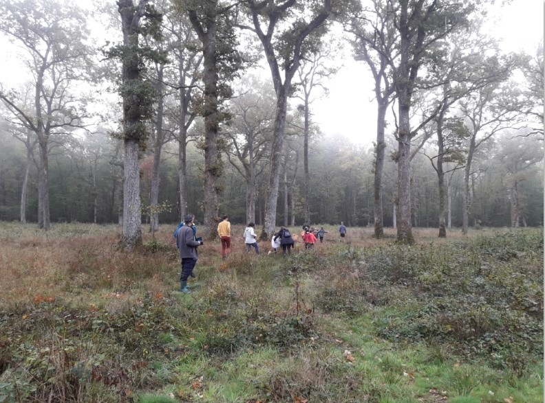 Plusieurs forêts pédagogiques sur la Haute Comté (70)