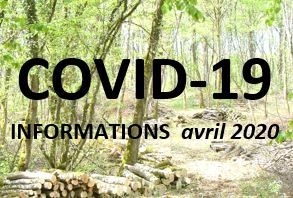 Crise Covid-19 : adaptations en forêt des collectivités