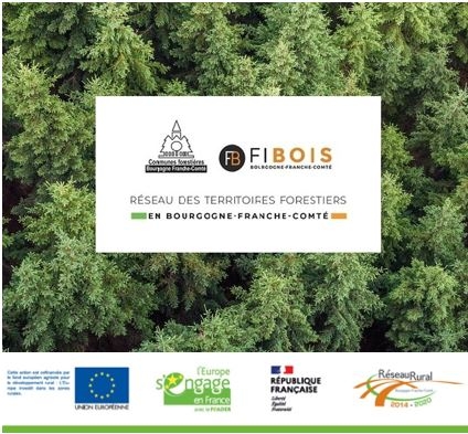 Valoriser la ressource forestière dans les territoires de Bourgogne-Franche-Comté