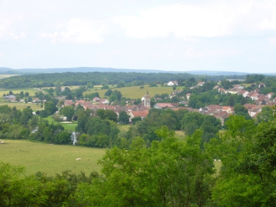 Le Contrat régional Forêt-Bois est validé