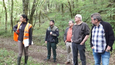 Aménagement forestier et gestion durable
