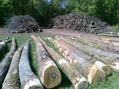 Bilan d'une expérimentation sur le développement des circuits courts entre les acteurs de la filière forêt-bois