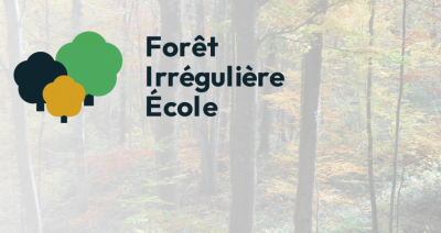 Forêt irrégulière école, une démarche pour promouvoir la sylviculture mélangée à couvert continu ou futaie irrégulière