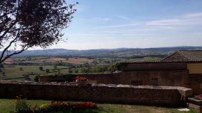 Foncier forestier