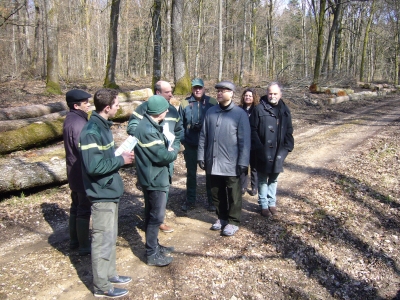 La forêt publique de Haute-Saône et l’économie du bois mis à l’honneur par le Préfet