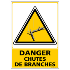 Sécurité en forêt