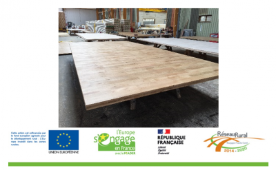 Réseau des Territoires Forestiers : deuxième journée thématique