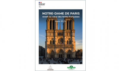 Les Communes forestières et l’ONF éditent un livret sur la contribution des forêts publiques à la reconstruction de la charpente de Notre-Dame de Paris